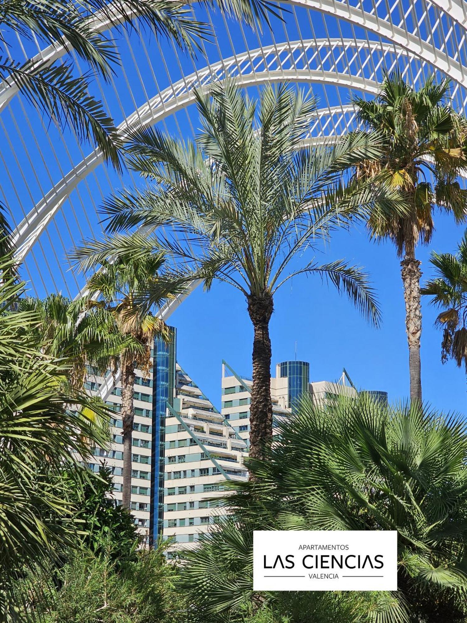 Apartamentos Las Ciencias Studio P Valencia Eksteriør bilde